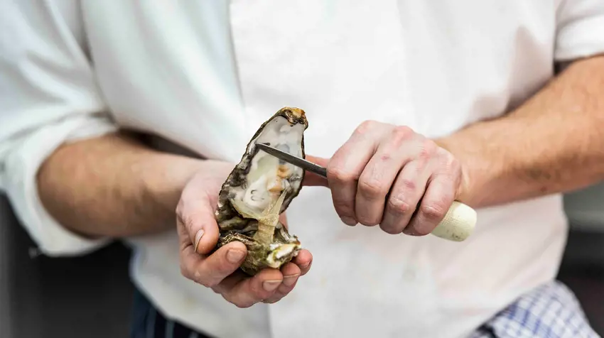 Head Chef talks all things Oysters