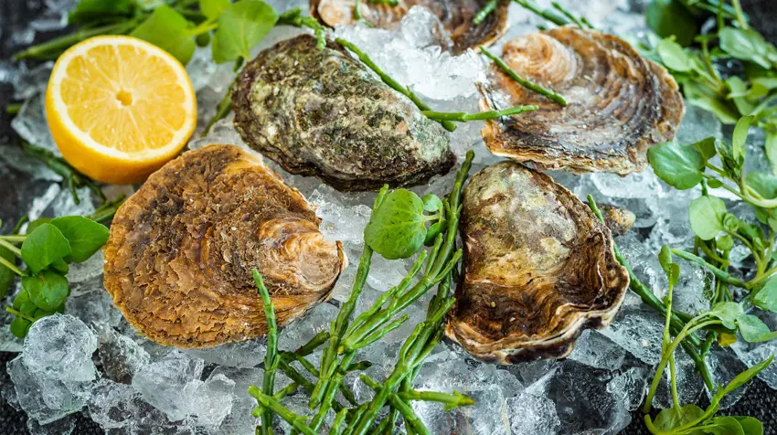 Brudenell Seafood & Grill