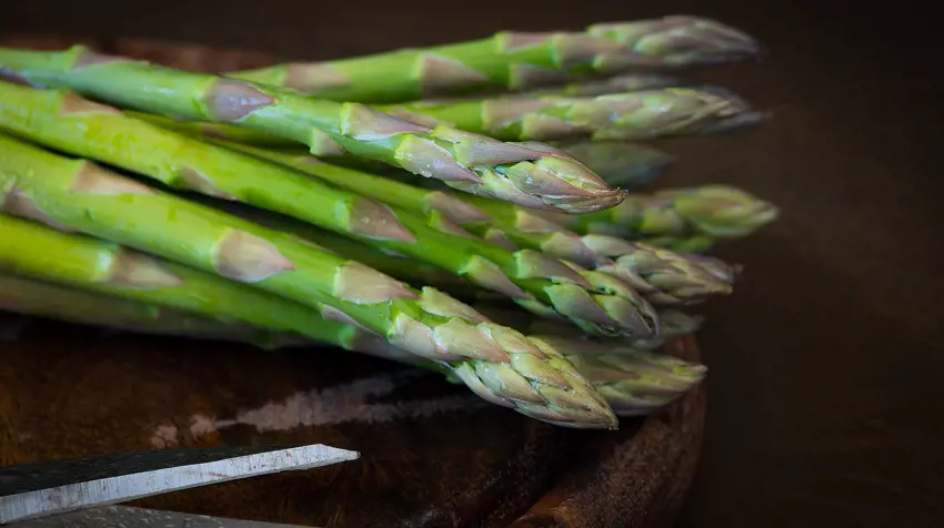 New Season Brings New Flavours